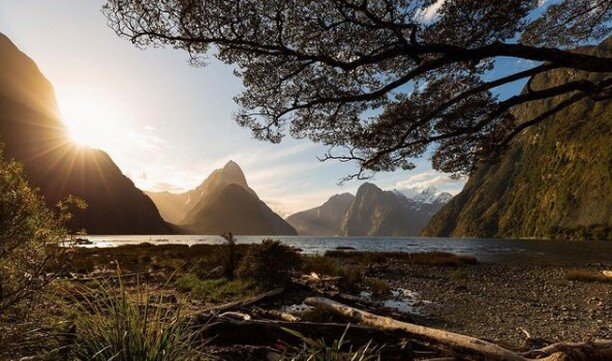 Beautiful captures from one of Fiordlands' best. #Repost ðŸ“¸: @phomadic