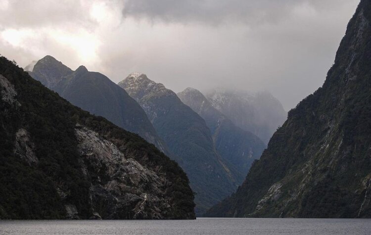 Giants of the sounds. Photo by: @photosbyjuiceyj  #Repost
.
.
.
#fiordland #milfordsound #travelnewzealand #newzealandlife #southland #adventure #travelphotography